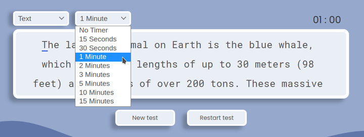 typing test timer options